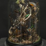 insect environment 6B, by Collin Stringer, Sculpture Photography by Bellevue Fine Art