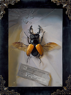Stag Beetle artwork by Jason Blackburn