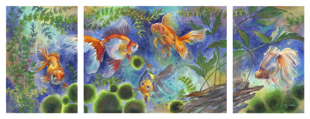 Art by Catherine James, Watercolor, Goldfish, BFAR Art Scan