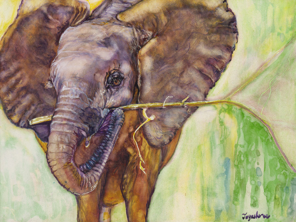 Elephant in Watercolor by Jayashree Krishnan, Art Scan