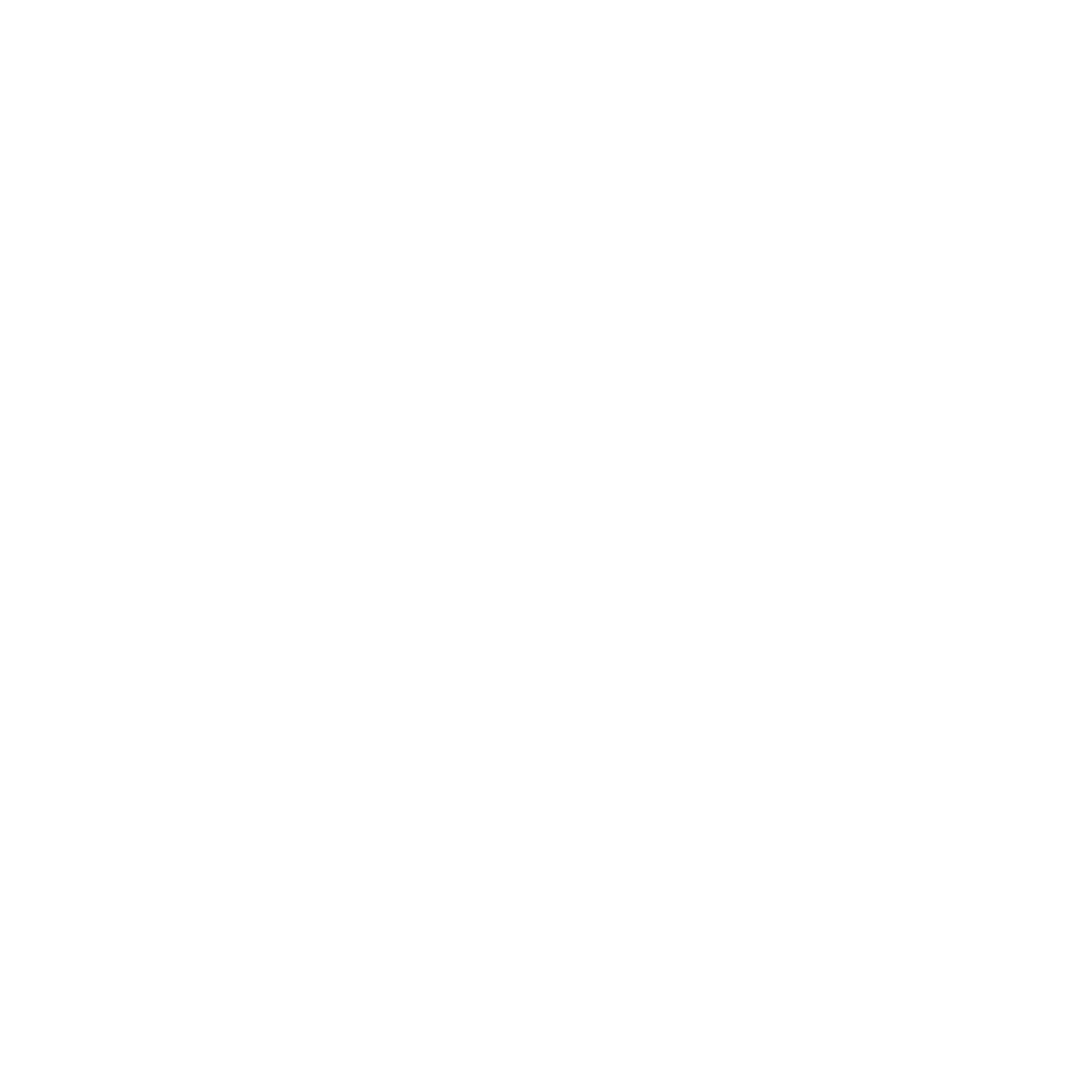 BFA logo white